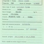folli ermes
