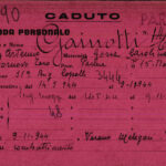 gainotti enzo