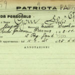 goni silvio