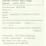 malcotti arnaldo