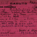 reggiani dermide