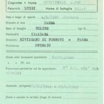 signifredi alfeo