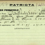 tagliavini orlando